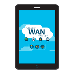 2019 SDWAN Campaign - SDWAN Infographic